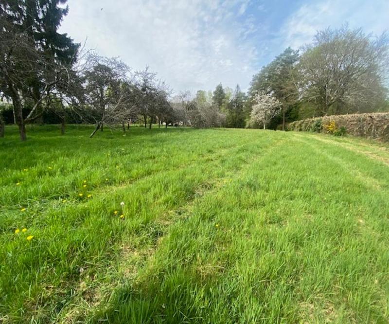 Terrain constructible - 2 530 m²