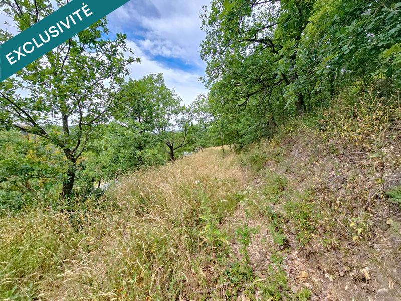 Terrain - 24 945 m²