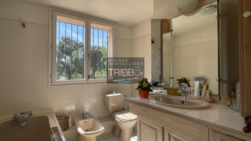 Mas - 435 m² - 8 pièces