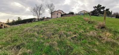 Terrain constructible - 1 000 m²