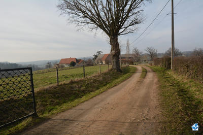 Ferme - 100 m² - 5 pièces