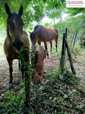 Propriété - 153 m² - 7 pièces