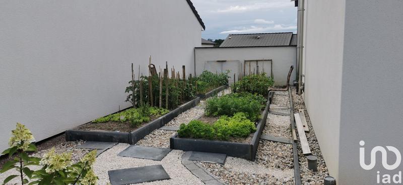 Maison de maîtres - 158 m² - 5 pièces