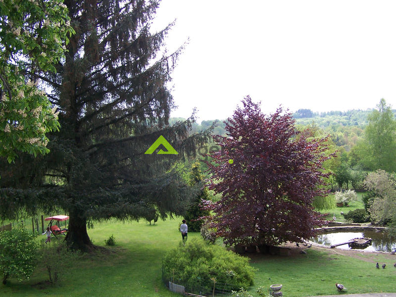 Propriété - 296 m² - 13 pièces