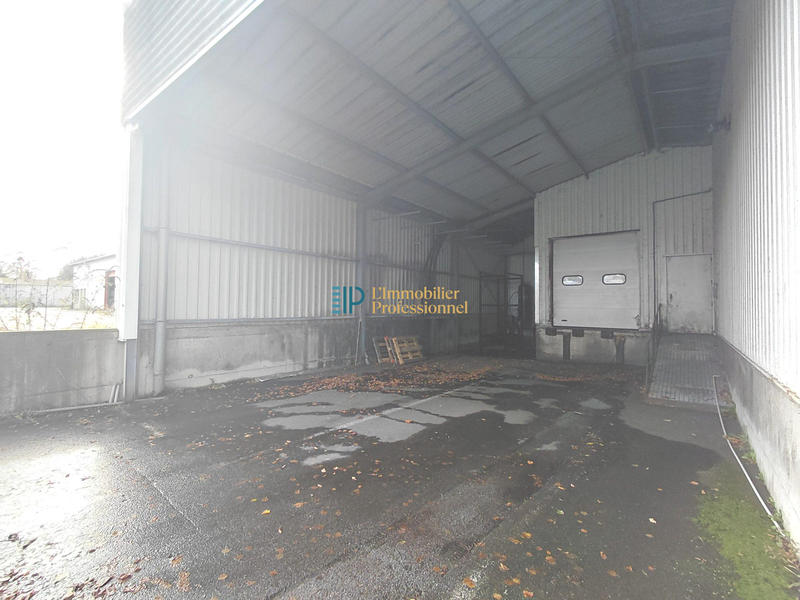 Local d'activités - 1 800 m²