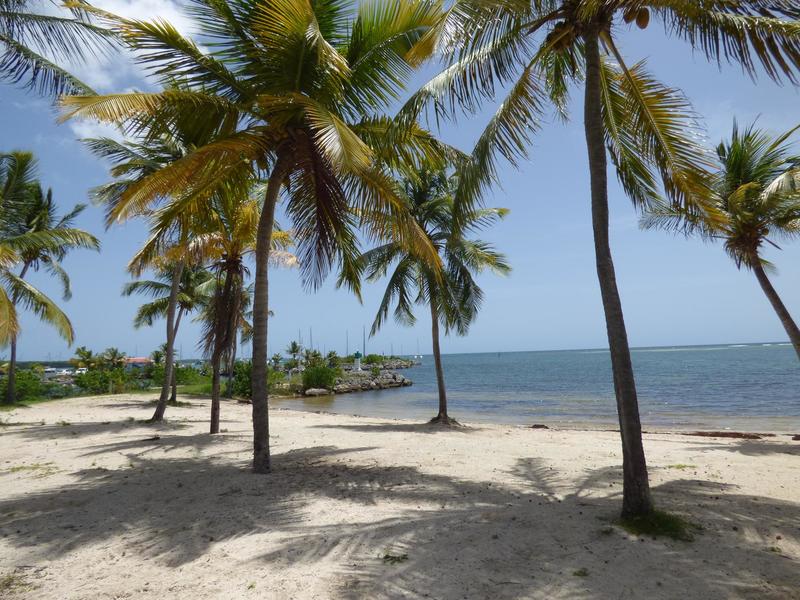 Appartement - 122 m² - 3 pièces