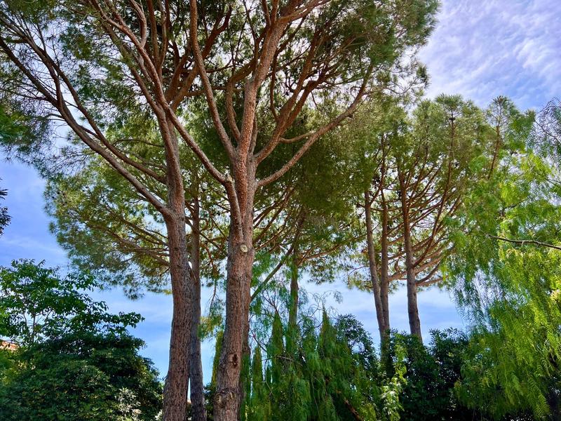 Maison - 221 m² - 5 pièces