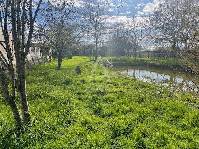 Terrain constructible - 1 134 m²