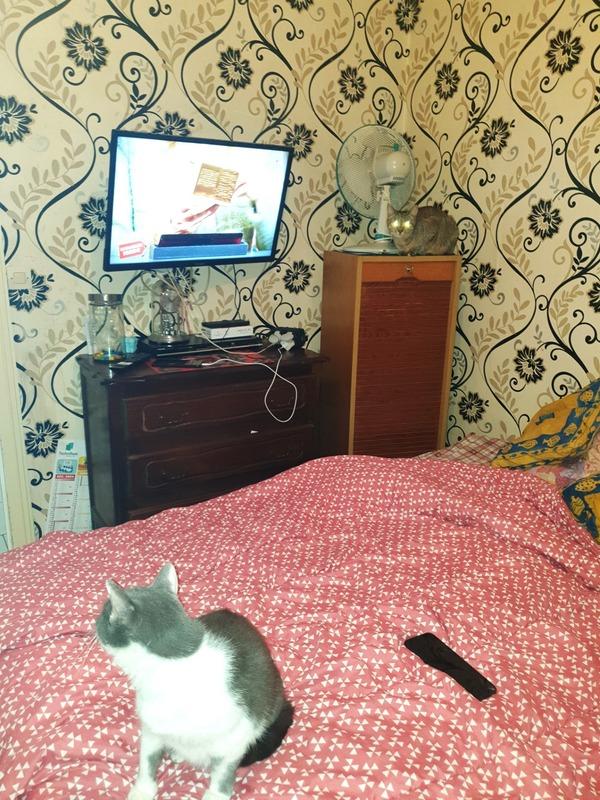 Appartement ancien - 172 m² - 11 pièces