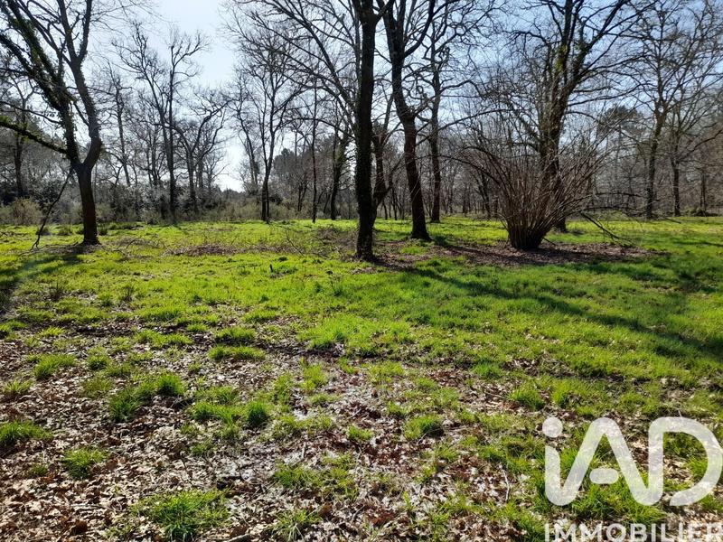 Terrain - 20 620 m²