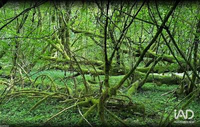 Terrain - 1 167 907 m²