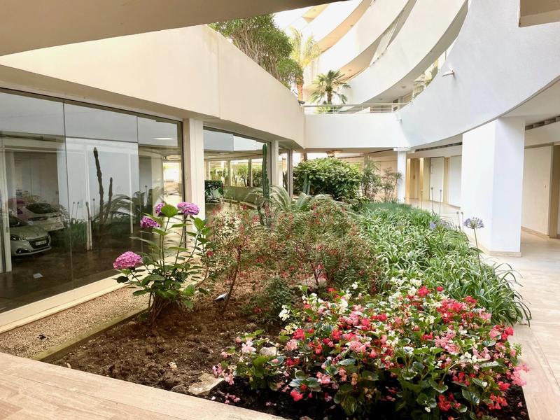 Appartement - 55 m² - 2 pièces