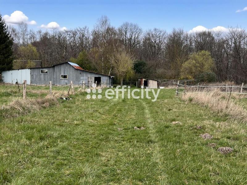 Ferme - 322 m² - 9 pièces