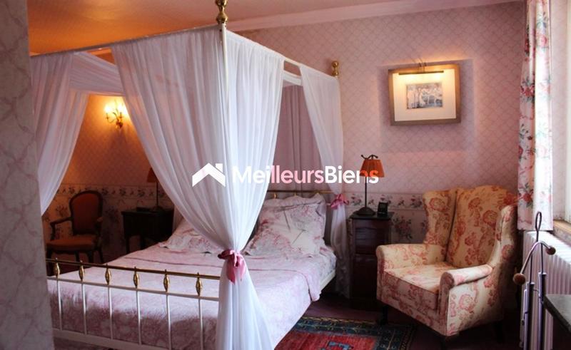 Château - 1 250 m² - 30 pièces