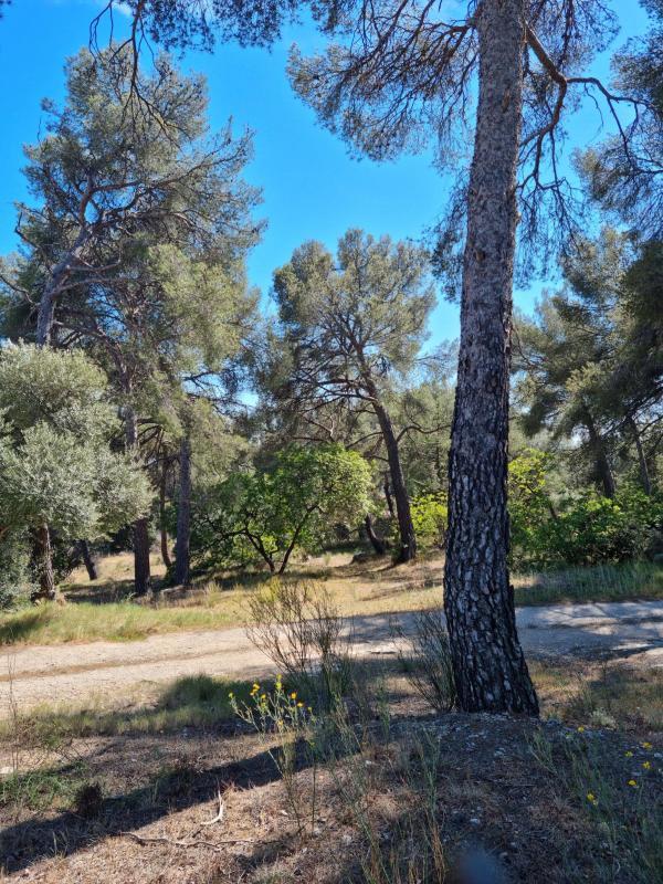 Terrain constructible - 1 058 m²