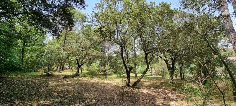 Terrain constructible - 2 150 m²