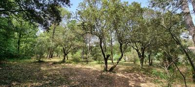 Terrain constructible - 2 150 m²