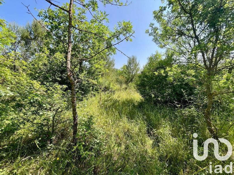 Terrain agricole - 12 527 m²