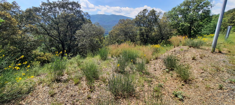 Terrain de loisirs - 17 646 m²