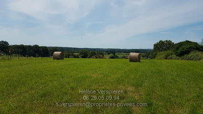Terrain constructible - 3 931 m²