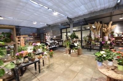 Fonds de commerce - Magasins - 220 m²