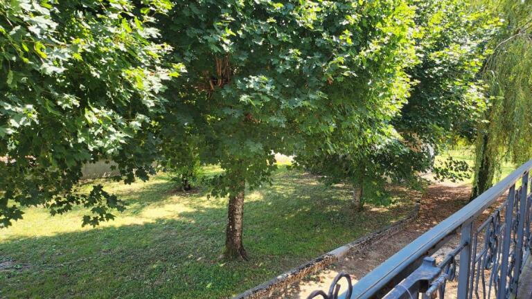 Appartement - 100 m² - 5 pièces