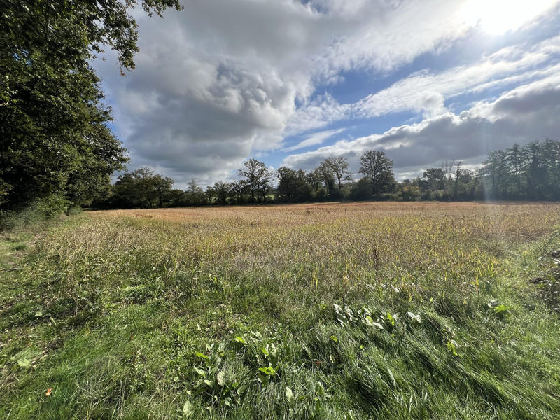 Maison - 165 m² - 9 pièces