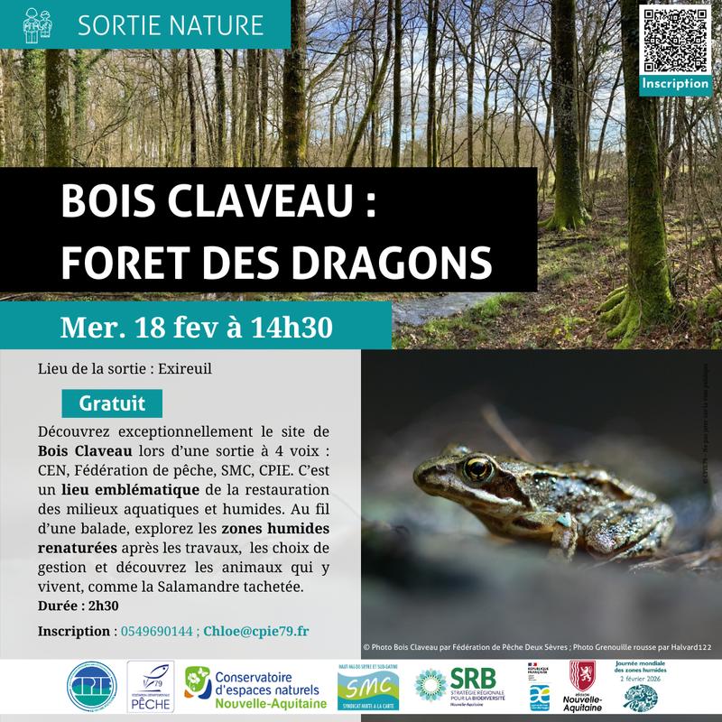 Animation Nature : « Bois Claveau : Forêt des dragons »