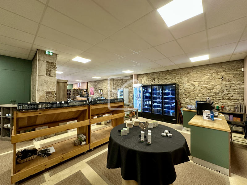 Immeuble - 580 m² - 14 pièces