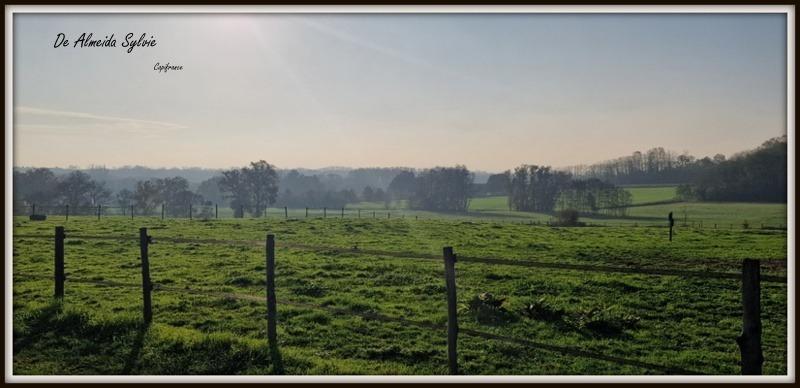 Local d'activité / Entrepôt - 300 m² - 2 pièces