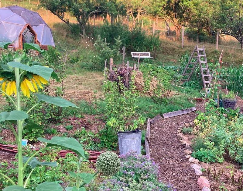 Week-end stage permaculture