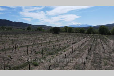 Terrain agricole - 19 998 m²