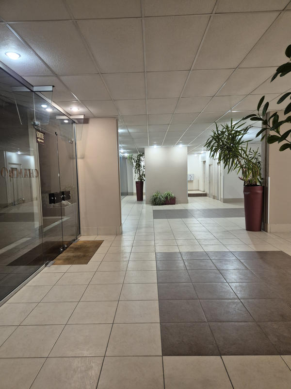 Appartement - 28 m² - 1 pièce