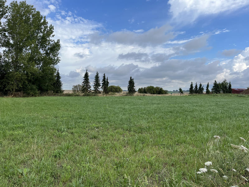 Terrain - 2 218 m²