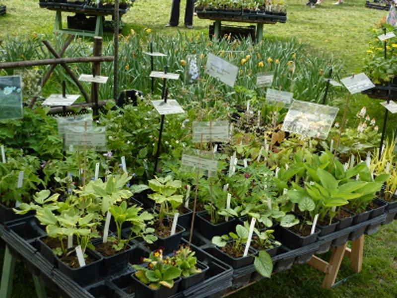 Fête internationale des plantes de Schoppenwihr