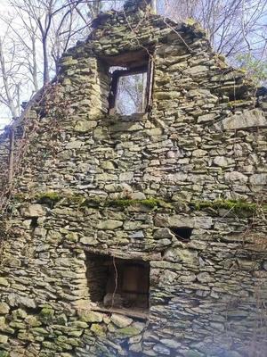 Maison - 60 m² - 1 pièce