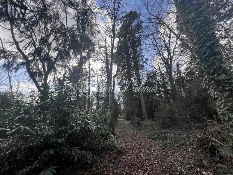 Château - 600 m² - 15 pièces