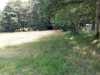 Terrain - 15 950 m²