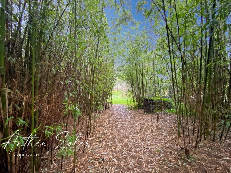 Maison - 62 m² - 3 pièces