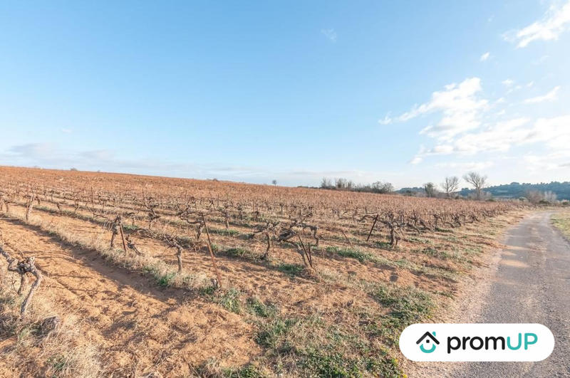 Terrain agricole - 57 000 m²