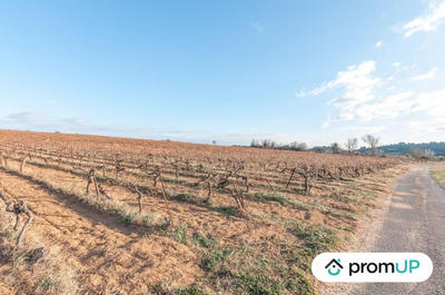 Terrain agricole - 57 000 m²