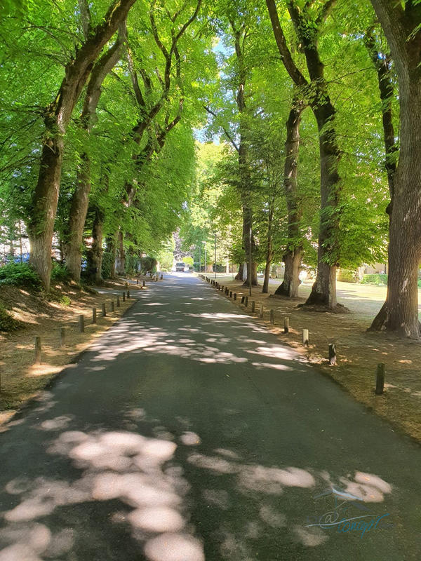 Appartement - 55 m² - 2 pièces