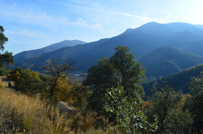 Terrain - 18 305 m²