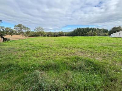 Terrain constructible - 1 009 m²