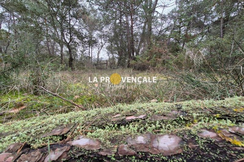 Terrain de loisirs - 2 315 m²