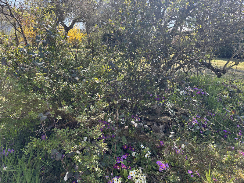 Maison - 142 m² - 6 pièces