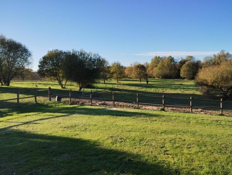 Maison - 193 m² - 5 pièces