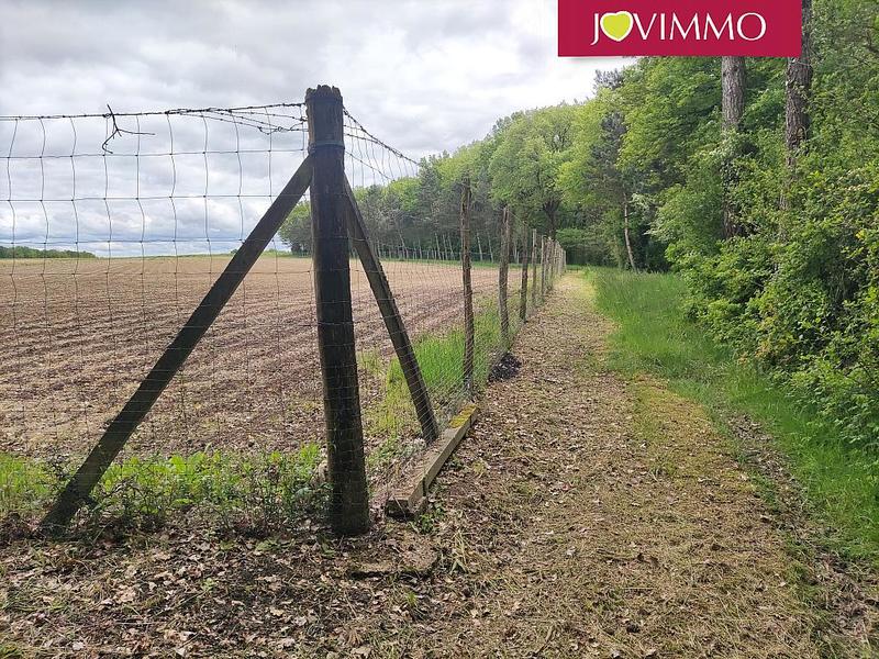 Terrain - 100 000 m²