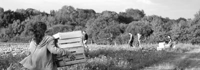 Au Jardin Bioretz - Magasin Bio Sainte Pazanne