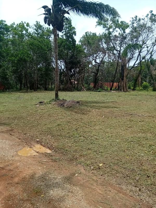 Terrain constructible - 3 000 m²